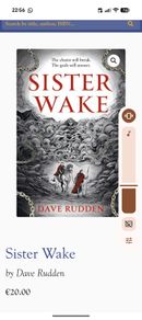 Sister Wake By Dave Rudden