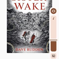 Sister Wake By Dave Rudden