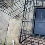Dog cage/crate Image 8