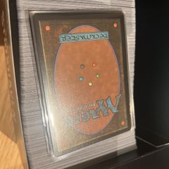 Mystery Box ( Magic the Gathering ) MTG Bulk LOT