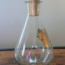 Vintage 1960s JAJ Pyrex Gold Grape Vine Decanter / Wine Carafe Image 7