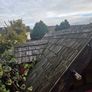 Tree house Image 4