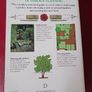 Pocket Encyclopedia of Garden Planning/John Brookes/ 1993 Image 2
