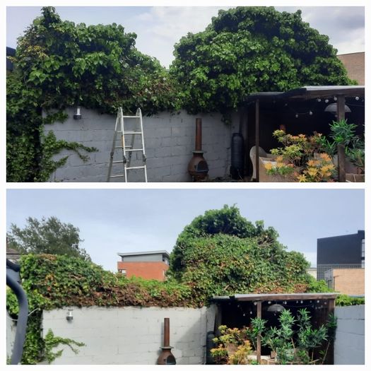 Garden maintenance