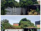 Garden maintenance Image 3