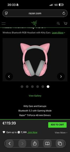 Razer Headphones and Mouse