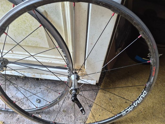 Pagini frameset and carbon wheels .