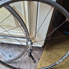 Shimano  carbon wheels