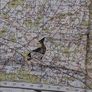 Chatam & Maidstone WW11 Ordanance Map 1940 Image 7