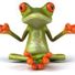 dartfrog