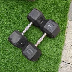 17.5kg dumbbells