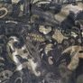 Versace Collection Women's Jeans Image 3
