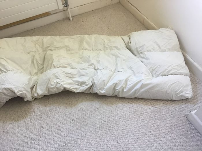 Duck down duvet