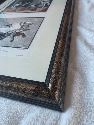 Framed Herculaneum Classical Prints - 55 x 40cm