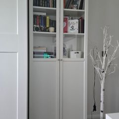 Ikea Cabinet