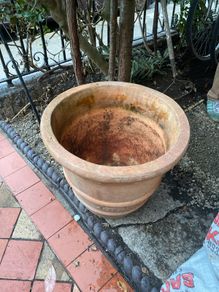 Plant Pot