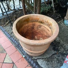 Plant Pot