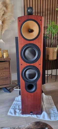 Bowers and wilkins nautilus 804s