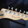 Fender Player Plus Tele Ltd Edition Image 5