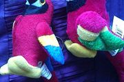 2 Parrots