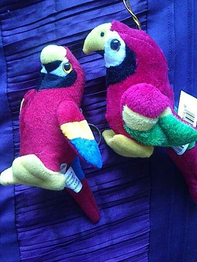 2 Parrots