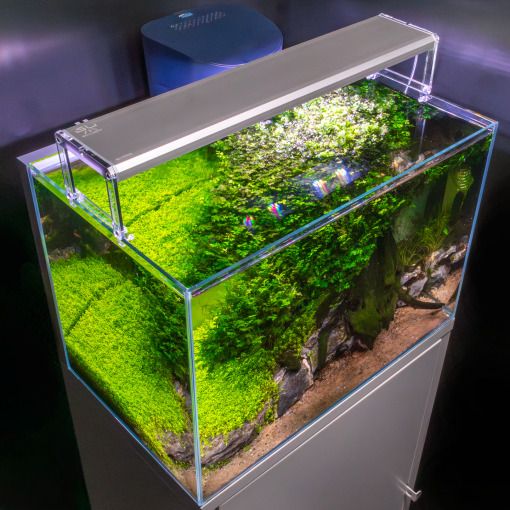 Skylight ENTRIQ FL.120 Aquarium Waterproof Lights