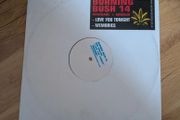 Renegade and damaja - burning bush 14 ep - classic happy hardcore