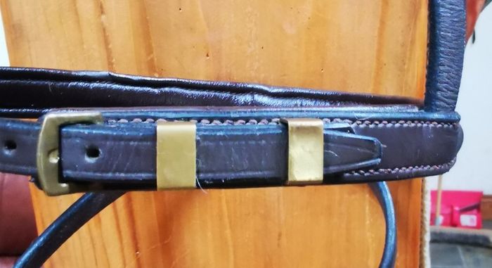 Bridle Headstall with Flash Noseband
