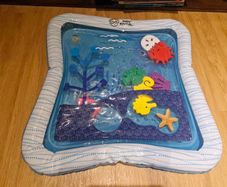 Baby Einstein Water Tummy Time Mat