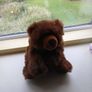 Bear Soft Toy Image 2