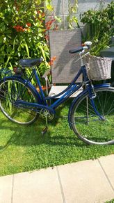 Vintage   Raleigh Lady's High Nelly Bicycle