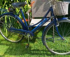 Vintage   Raleigh Lady's High Nelly Bicycle