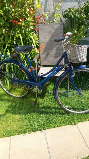 Vintage   Raleigh Lady's High Nelly Bicycle
