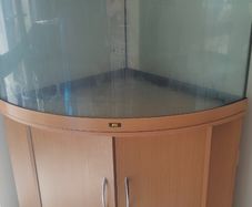 Juwel Tank (reptile or fish)