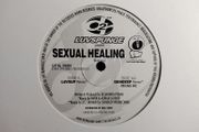 Luvspunge - Sexual Healing - Dance 2 Recordings - TOP Quality SIDES 90s HOUSE! Condition: EXCELLENT!