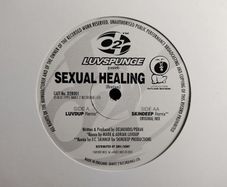 Luvspunge - Sexual Healing - Dance 2 Recordings - TOP Quality SIDES 90s HOUSE! Condition: EXCELLENT!
