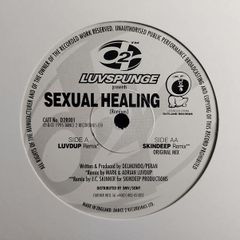 Luvspunge - Sexual Healing - Dance 2 Recordings - TOP Quality SIDES 90s HOUSE! Condition: EXCELLENT!