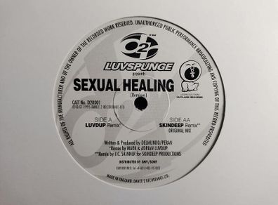 Luvspunge - Sexual Healing - Dance 2 Recordings - TOP Quality SIDES 90s HOUSE! Condition: EXCELLENT!