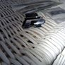 VW  Black Type R edition badges Image 4