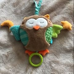 Baby  Fhen musical owl