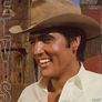 Elvis Presley Vinyl Collection (26 Items) Lot 1 For Sale Image 10