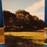 Sixty Years At The Cutting Edge - Joe Casey (signed) Image 2