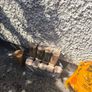 Stuff for an open fire later in the year Image 4