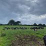 Grass Measuring & Farm Mapping Image 7