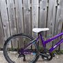 Purple Apollo Bike Image 3