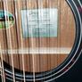 Breedlove Discovery Concert 12 string guitar Image 2