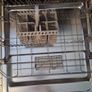 dishwasher Image 4
