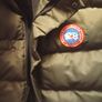 canada goose Image 5