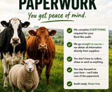 Bord Bia Audit Paperwork Prep Dairy, Beef & Sheep