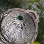 large french wicker bottle Image 3